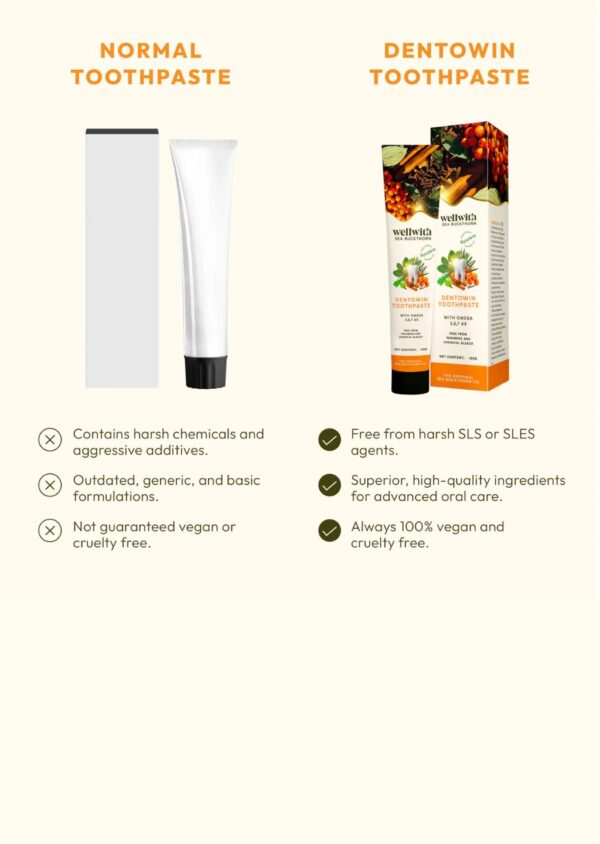Dentowin Sea Buckthorn Herbal Toothpaste 100gm