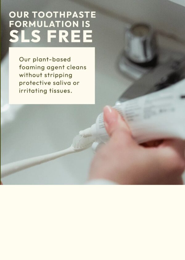 Dentowin Sea Buckthorn Herbal Toothpaste 100gm