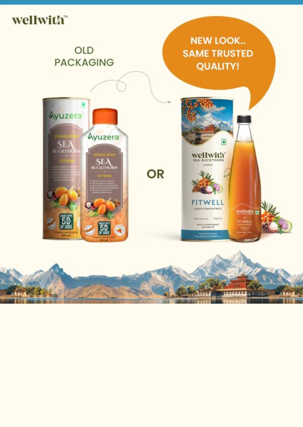1 (2) Sea Buckthorn Fit Well