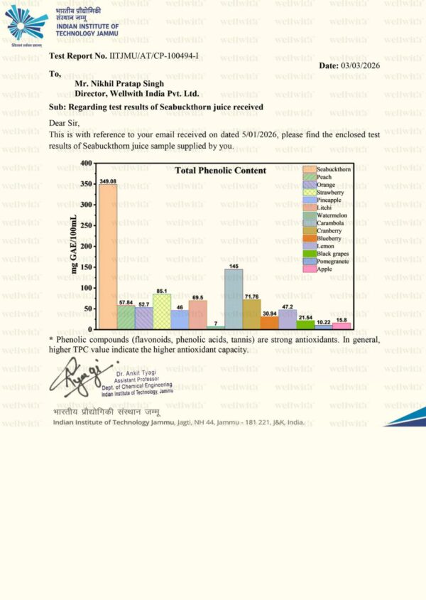 1 Sea Buckthorn Antioxidant (AO) Shot