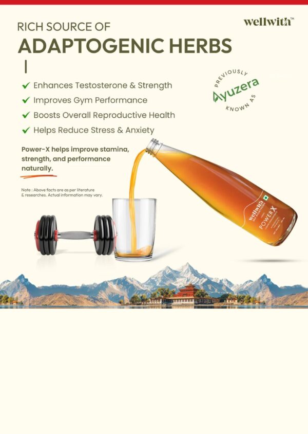 Wellwith SeaBuckthorn Power X