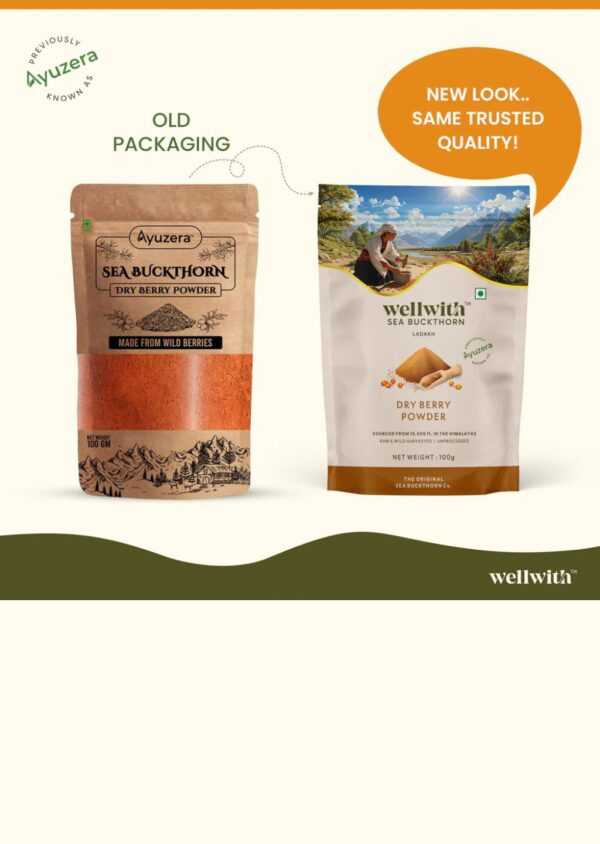 1 Sea Buckthorn Dry Berry Powder