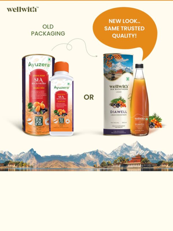 2 Sea Buckthorn Dia Well