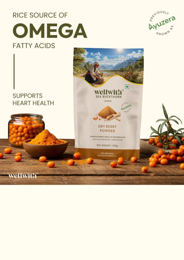 2 Sea Buckthorn Dry Berry Powder