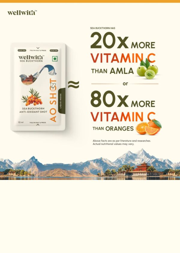 2 Sea Buckthorn Antioxidant (AO) Shot