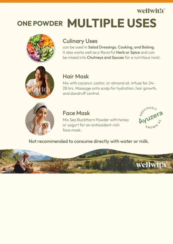 3 Sea Buckthorn Dry Berry Powder