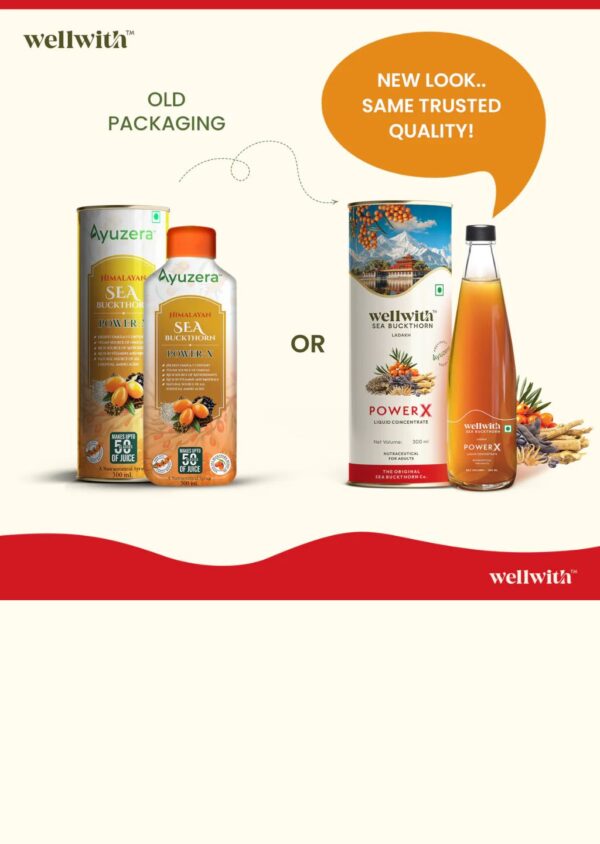Wellwith SeaBuckthorn Power X