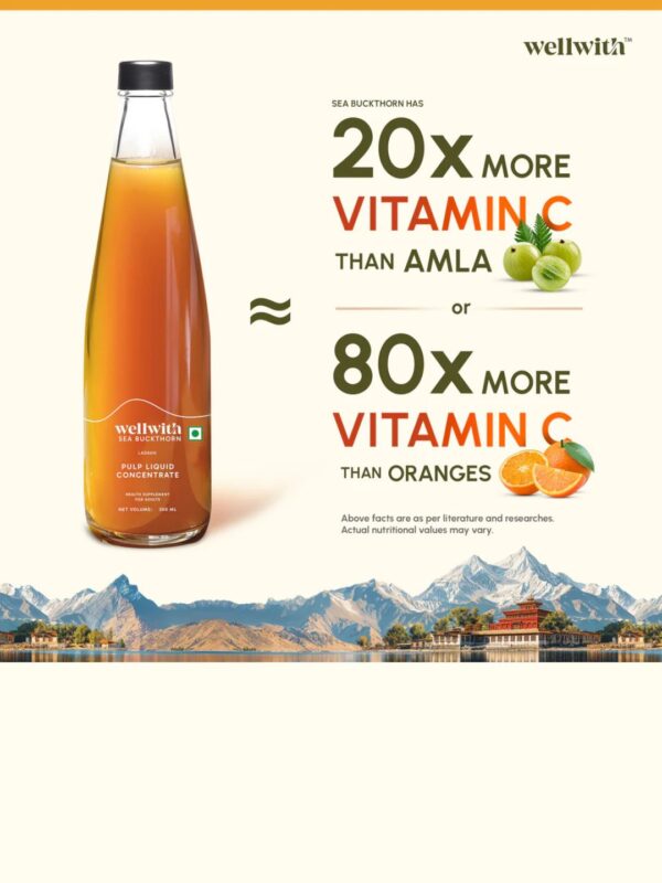 4 Wellwith Sea bukcthorn Pulp