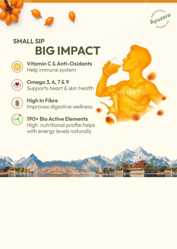 4 Sea Buckthorn Antioxidant (AO) Shot
