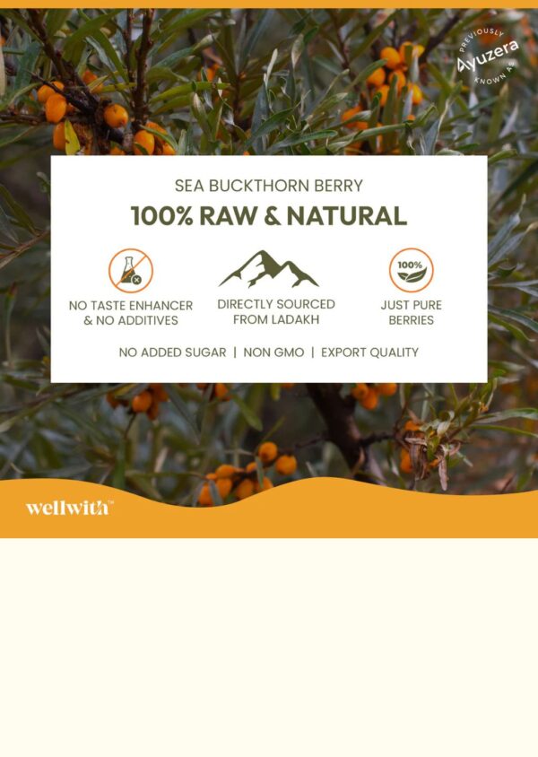 5 Sea Buckthorn Antioxidant (AO) Shot