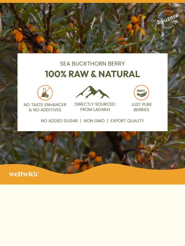 6 Wellwith Sea bukcthorn Pulp
