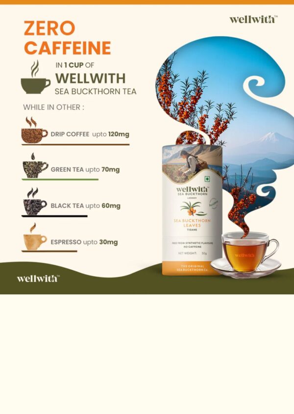 Seabukthorn Leaf Tea