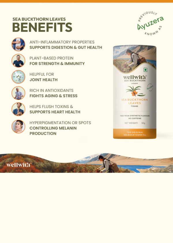 Seabukthorn Leaf Tea